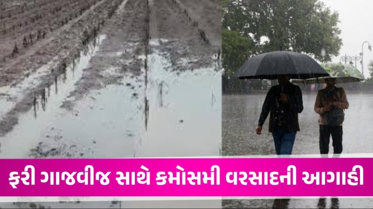 Gujarat Weather Report 2024